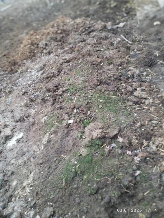 Пори , биогомус сотилади