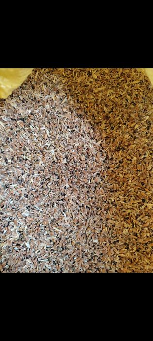 Sechka standart 50 kilodan