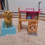 Set catei de jucarie