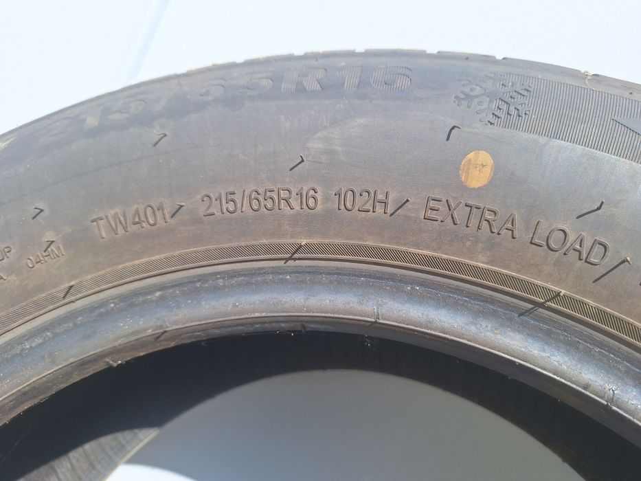 Зимние шины Triangle WinterX TW401