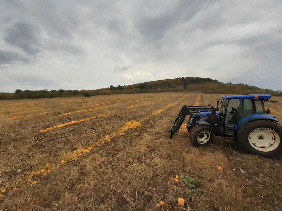 Miez seminte de dovleac fara coaja, produse in Romania ECO