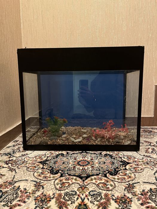 Baliqlar uchun Akvarium 50 L | Аквариум для рыб (Рыбный Аквариум)