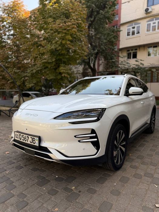 2024 byd chenpiyon  toza 605