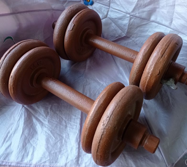 Гантели разборные