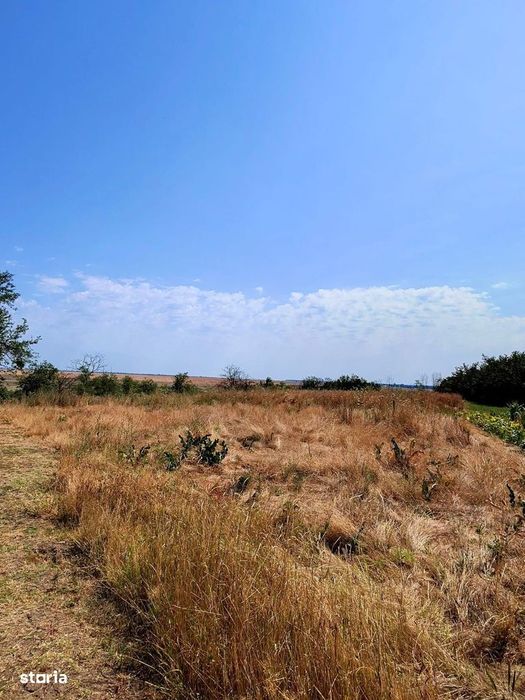 Teren intravilan Barlogu, Arges- 3001273