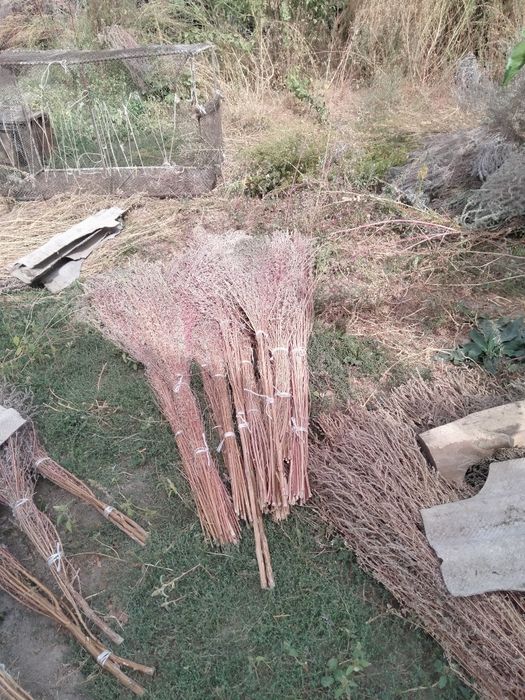 Qauli wipirgilar sotiladi 30mingdan