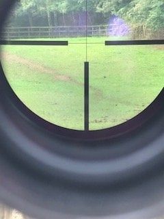 Оптика Сваровски 6×42