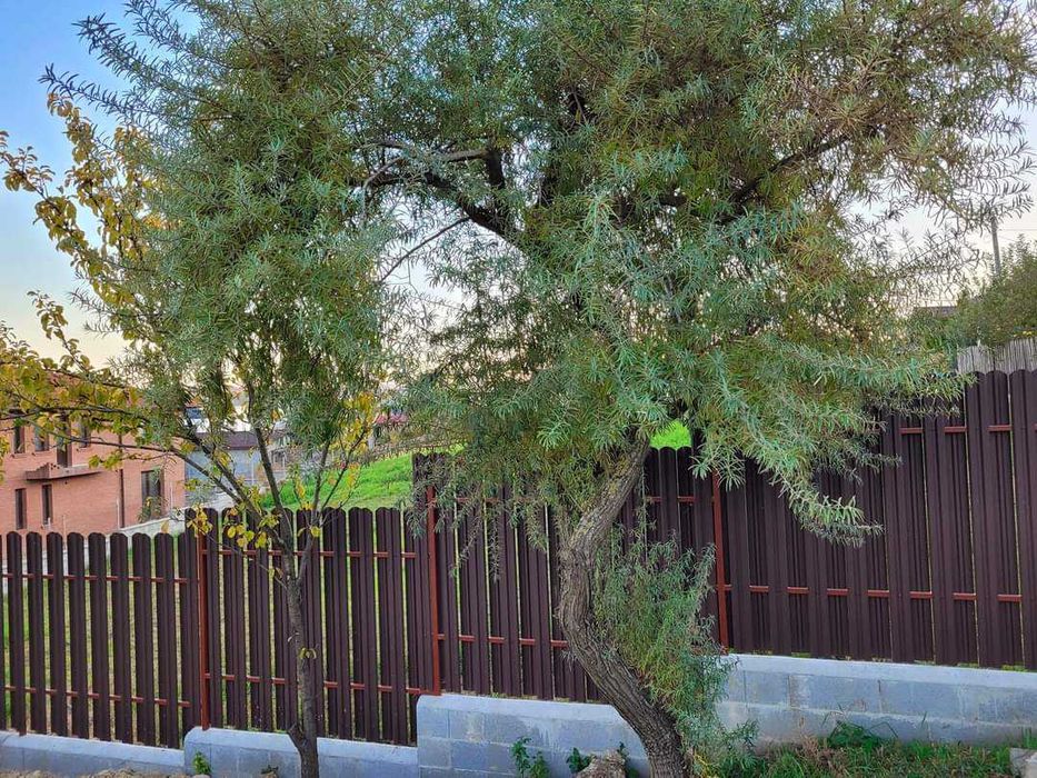 Garduri si porti din panou stil jaluzele, sipca metalica, plasa si BCA