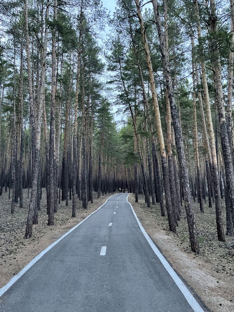 Дом в Боровом посуточно