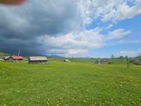 Teren Sirnea - Brasov