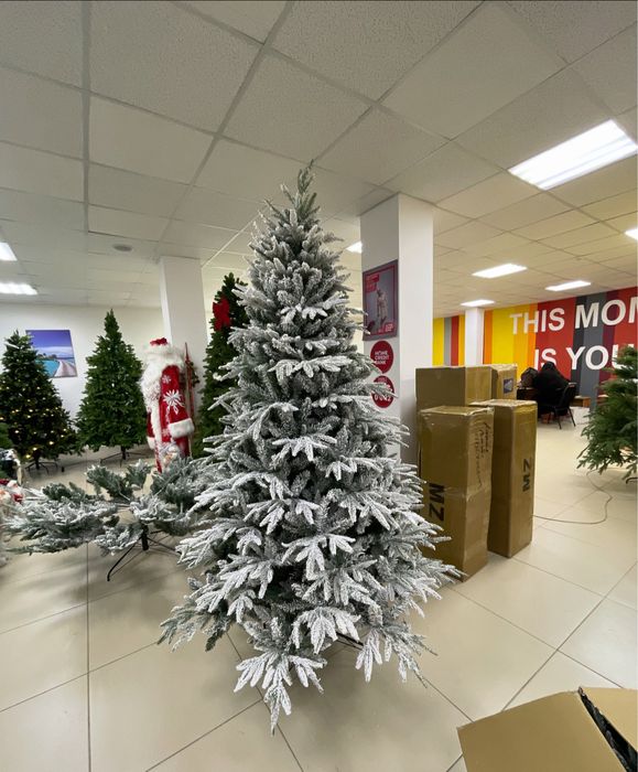 Елка шырша, 240 см.,  Дом быта