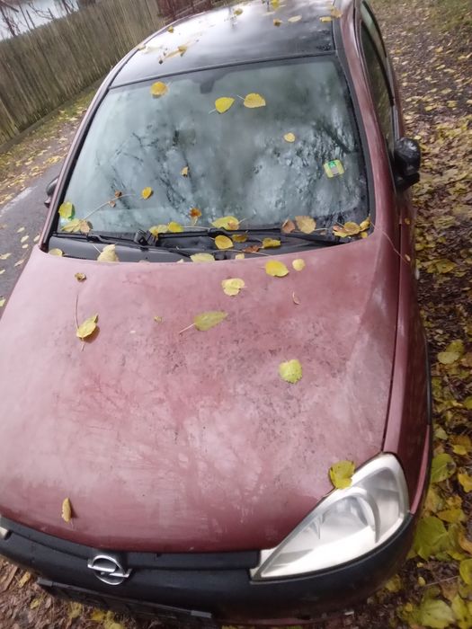 Vand corsa c fara acte