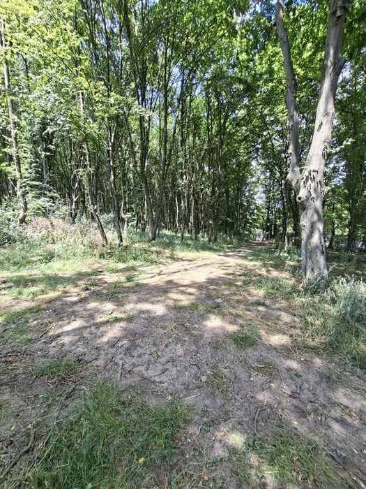 Vand teren intravilan Bascov