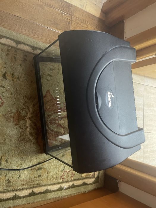 Avariu 60 de l vine cu tot ce ii trebuie