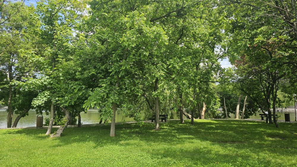 Partener antrenament.