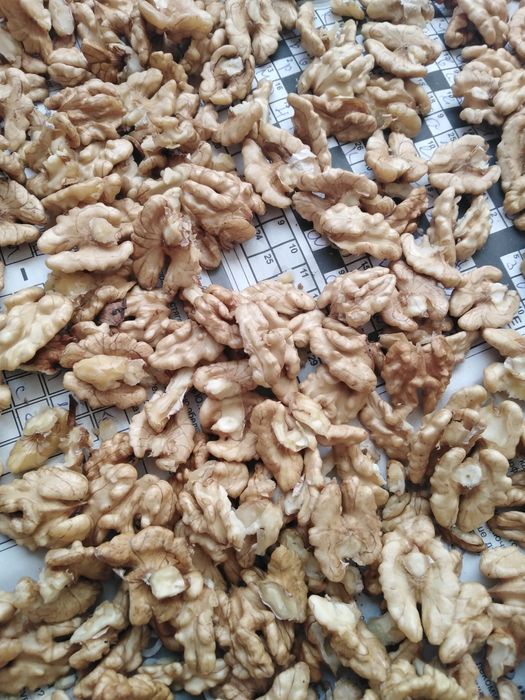 Изчистени  орехови ядки