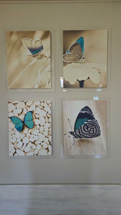 Разпродажба! Картини пеперуди