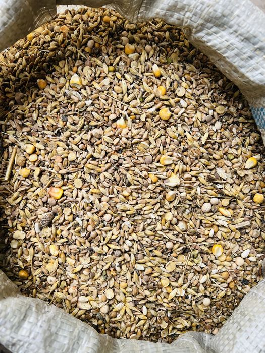 Продам Комбикорм для Курей