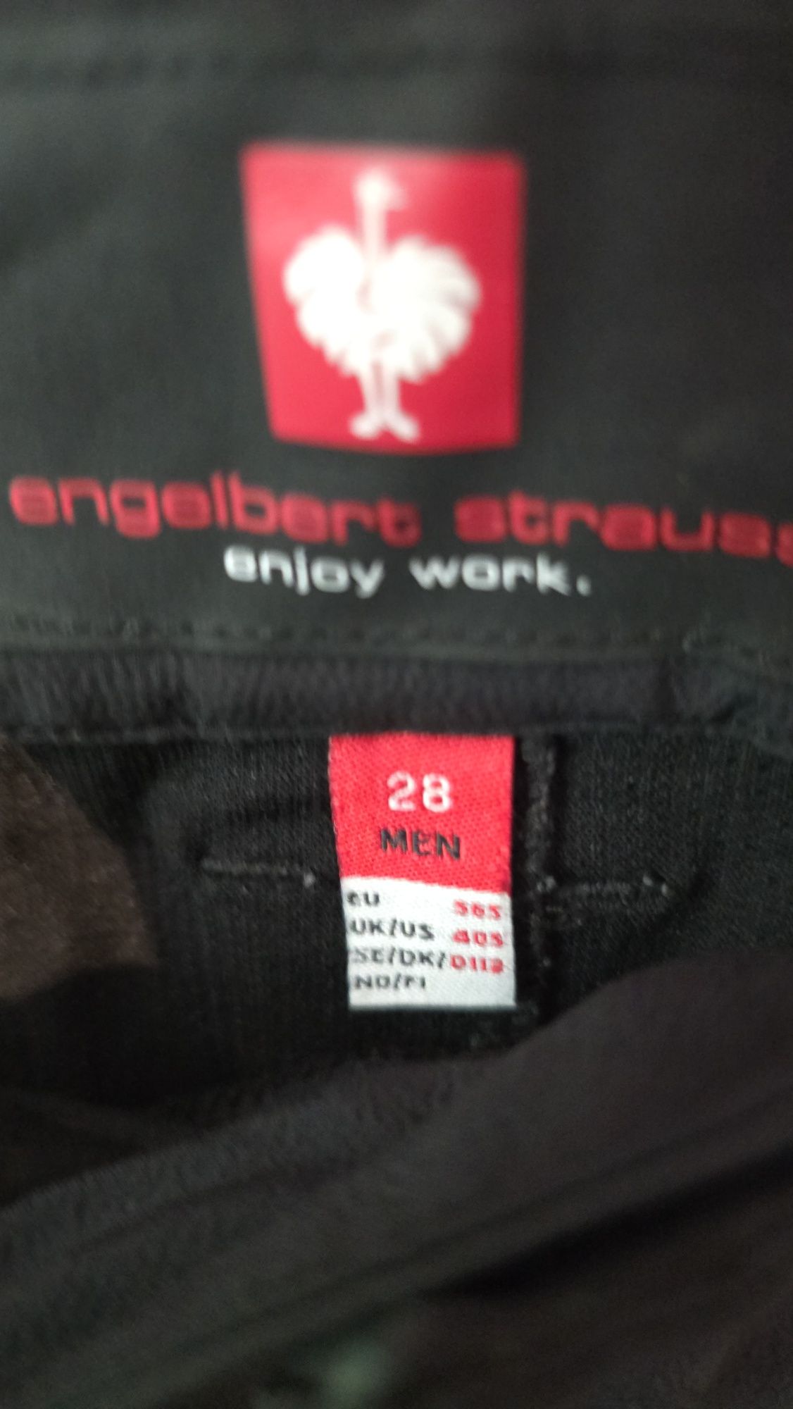 Strauss engelbert 56 ти