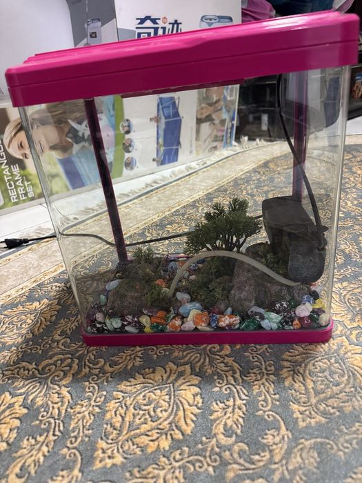 Akvarium panarama oynalik