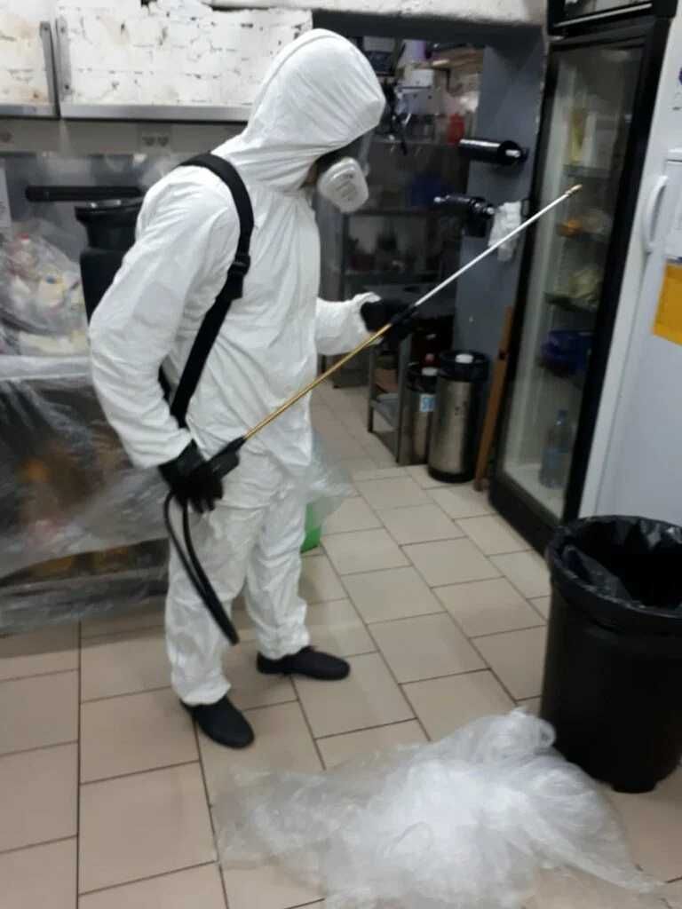 Dezinfeksiya dizinfeksiya dizenfeksiya sichqon, kalamush, ilon,