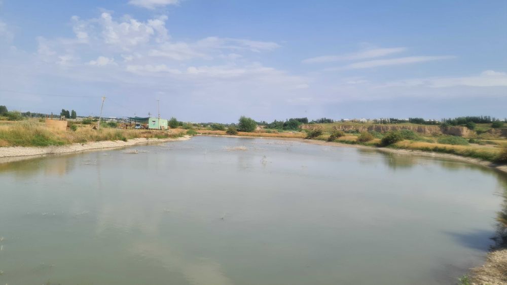 4 гектара вдоль реки на Ташморе.