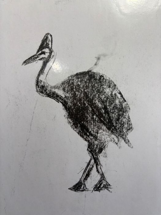 Скици с въглен 106 броя