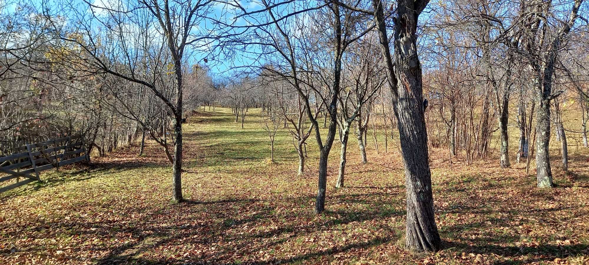 Gradina (livada cu pruni) com. Sotrile, jud. Prahova