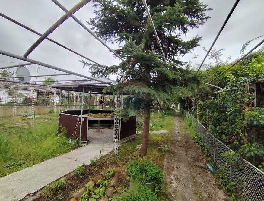 продавам къща в село Пчеларово, област Добрич