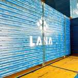 PROMO Panouri cofraj LANA IRU-PU