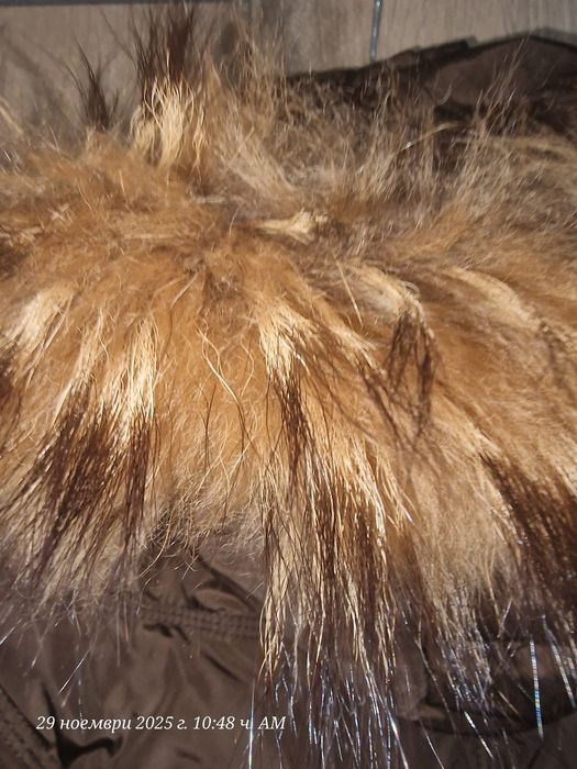 Разпродажба на дамски палта и якета