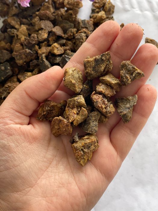 Vând Propolis Natural