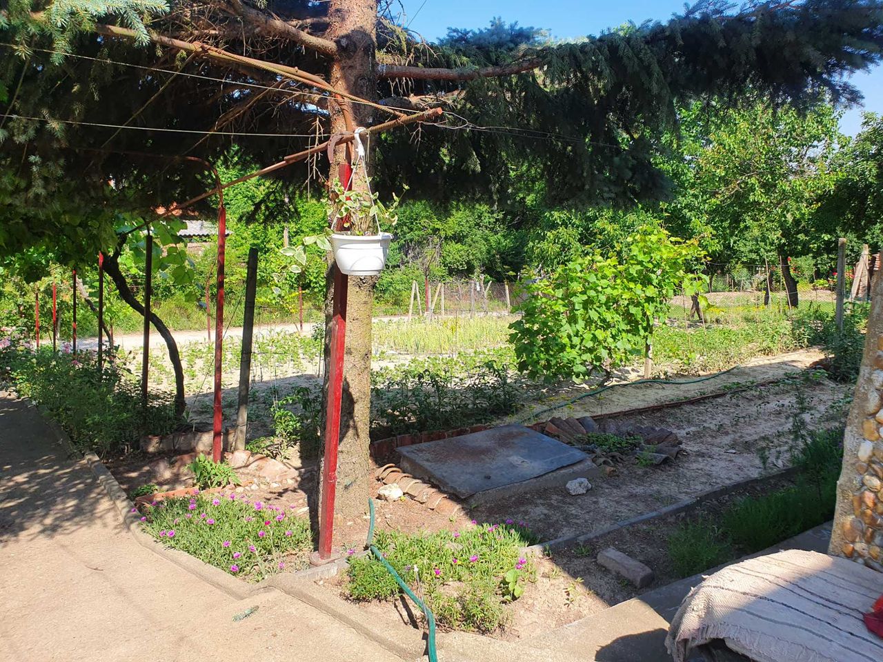 Продава се Къща в Силистра, в.з. Юг - 860 кв.м за 38 €/кв.м - Снимка #21