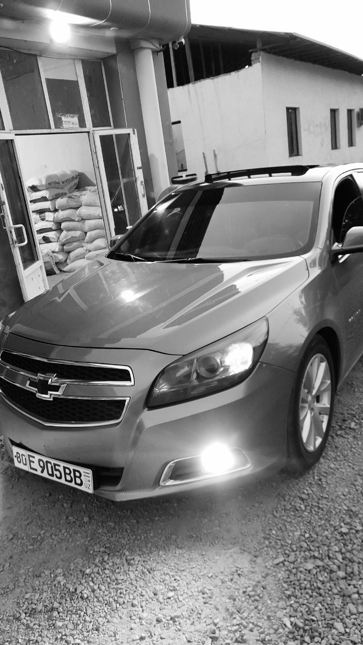 Malibu 1 kraska toza