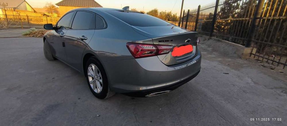 Malibu Xl kraska tozza 2023