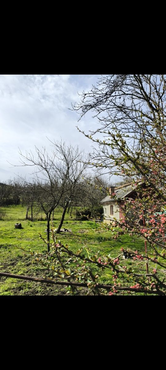 De vânzare casa și teren lângă parcul balnear Toroc