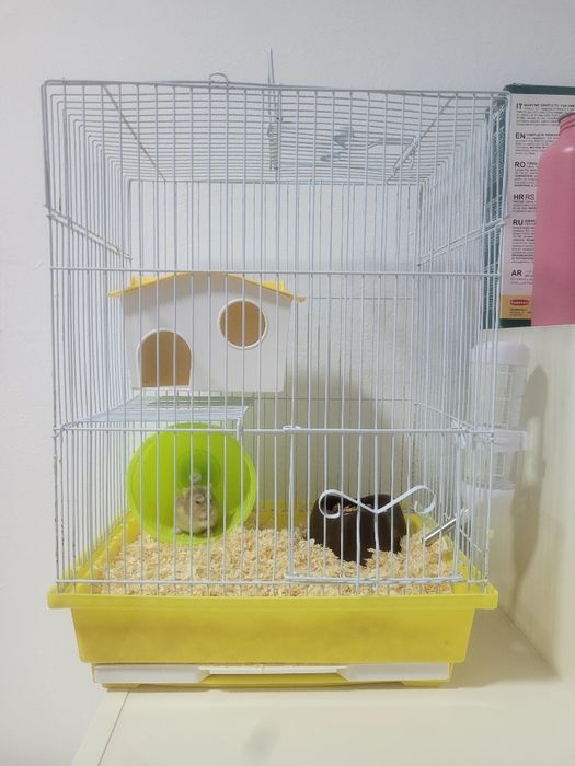 Hamster + cușcă.