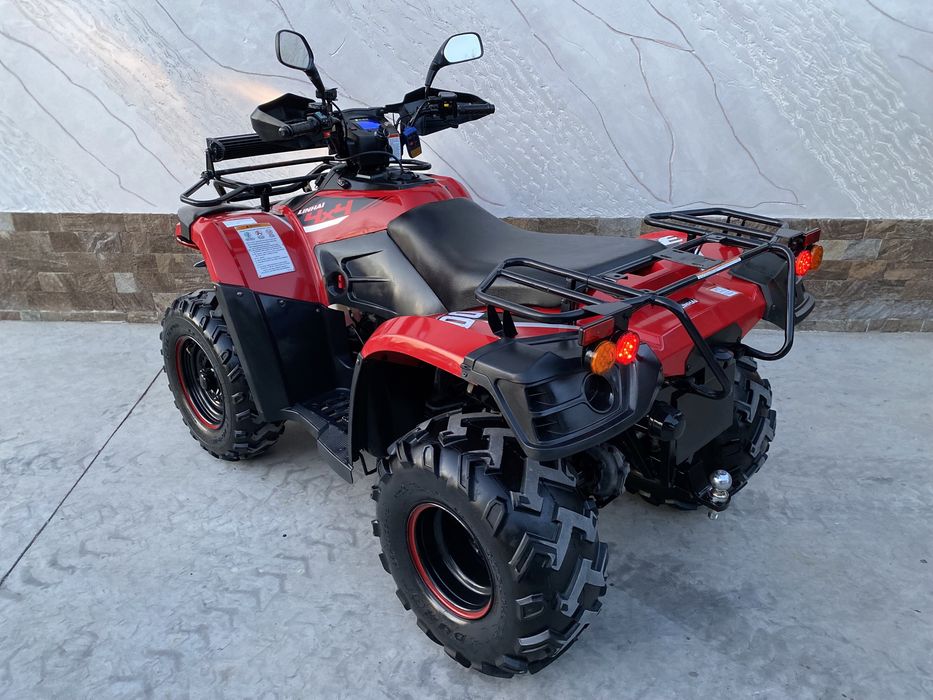 ATV ATW Linhai Dragon Fly 300 (nu tgb yamaha polaris sau can am)