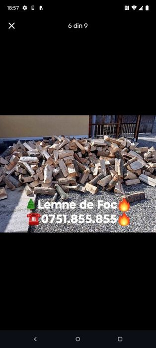 Lemne de foc Cuburi de Fag Cuburi de Brad