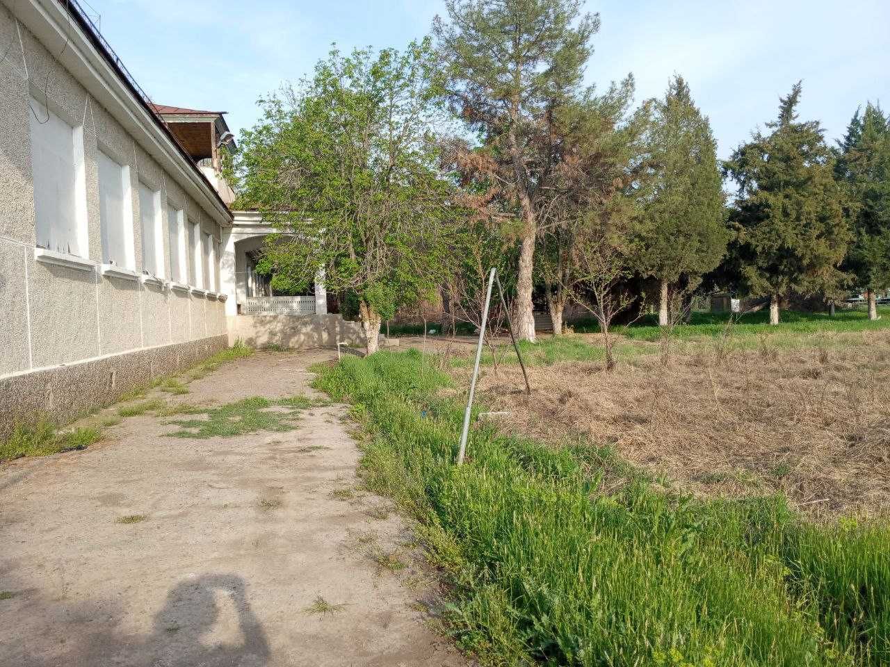 Chrichiq bo'yida yer maydoni. Kadastr hujjatlari bilan! Shoshiling!