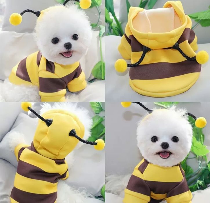 Одежда для животных