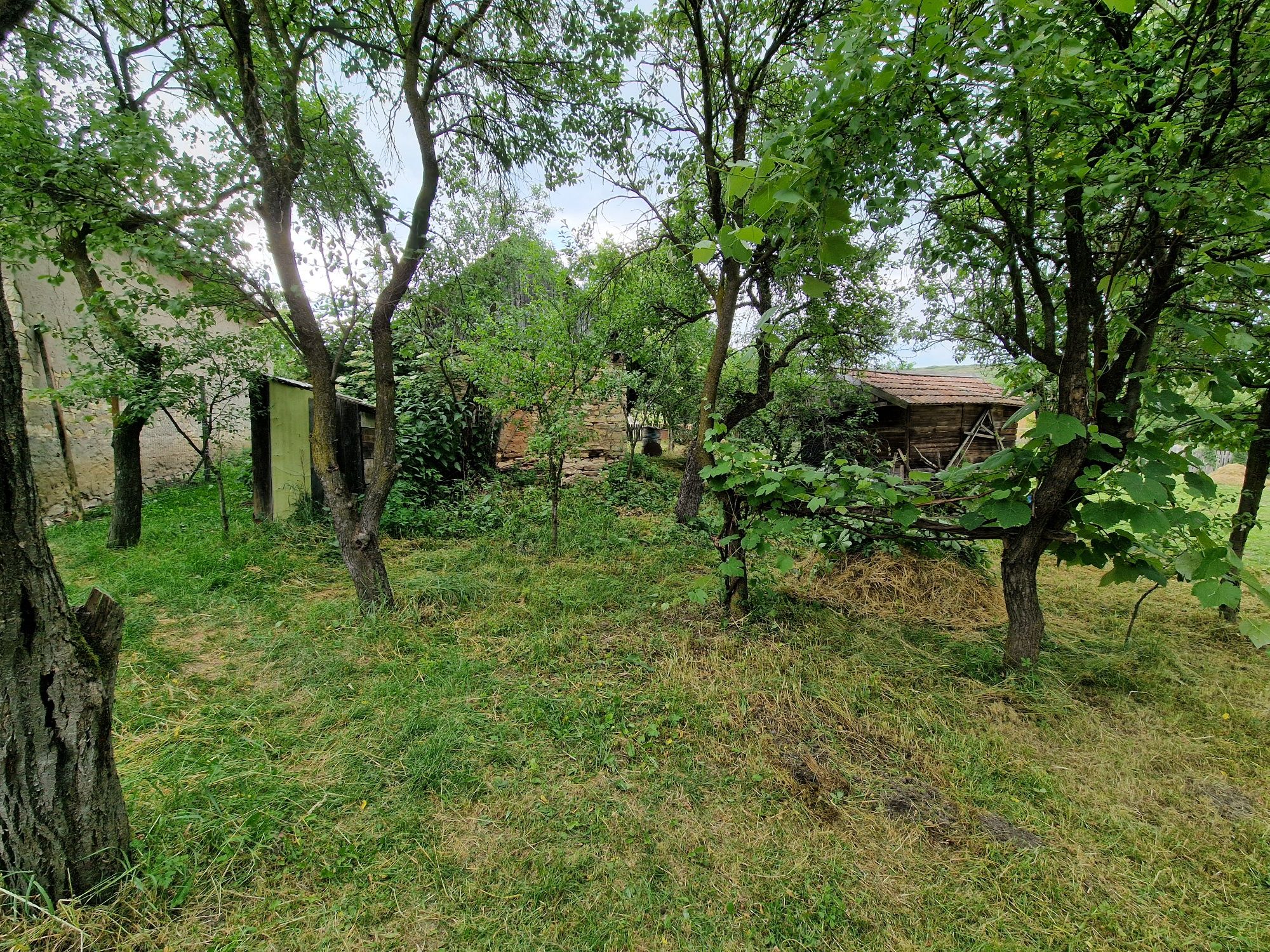 Teren intravilan în sat Feiurdeni, suprafața 1573mp