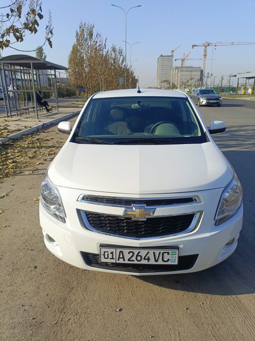 Kobalt sotiladi prabeg halol kraska toza