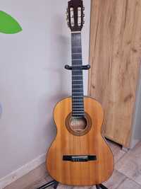 Chitara acustica Hohner HC03