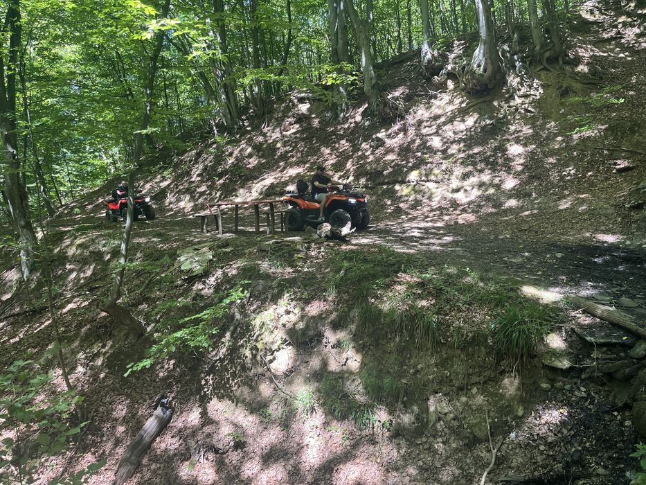 Разходки с АТВ или джип с водач.