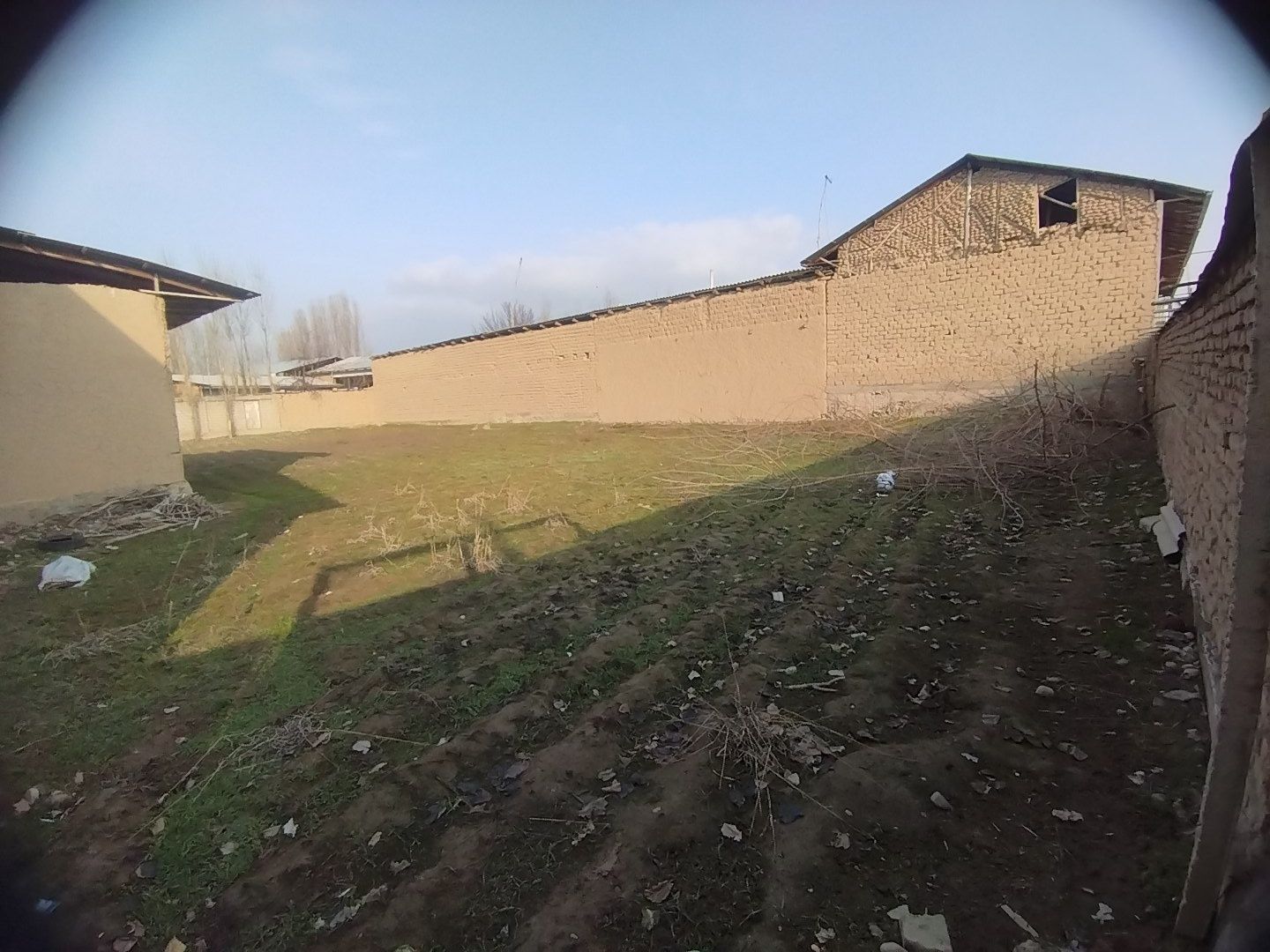Toshkent tumani novoiy da yer 8 sotx srochna sotiladi