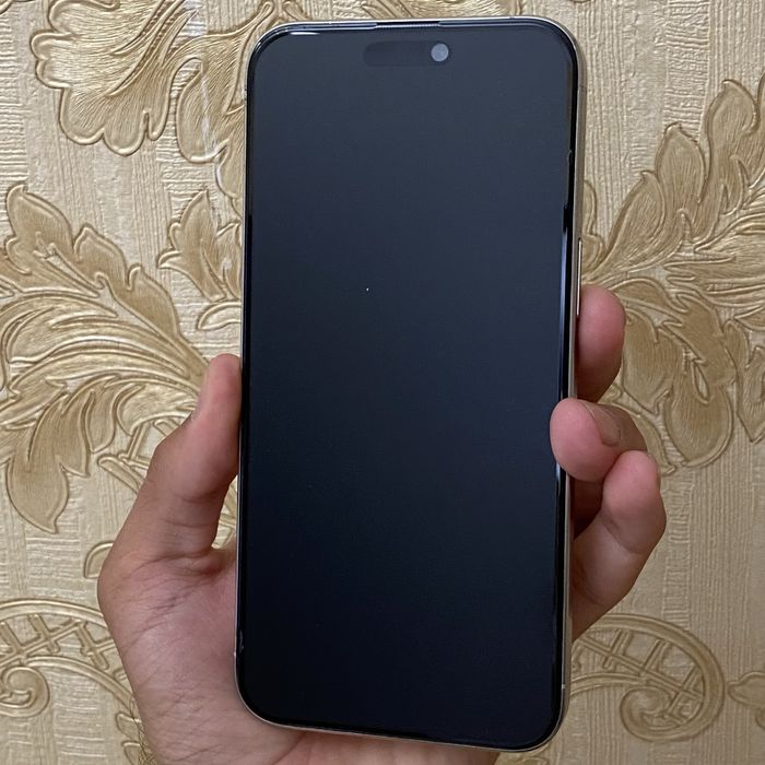 iPhone 15 Pro Max Silver 256GB