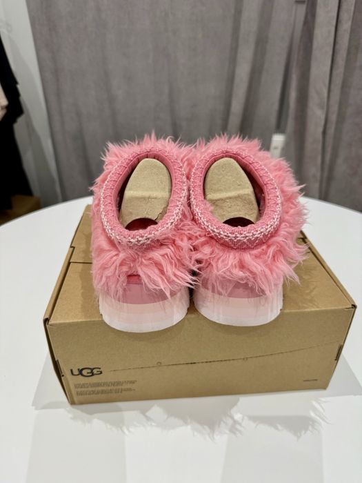 UGG sugar tasman