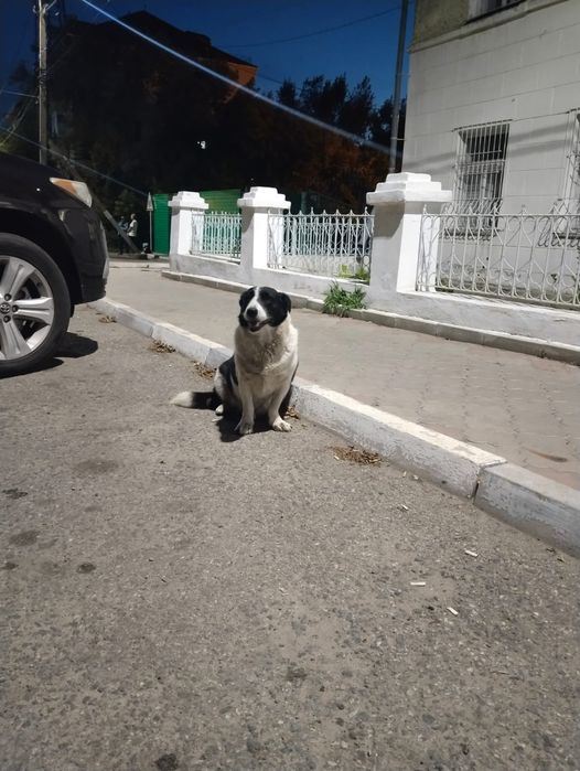 Помогите Найде найти дом