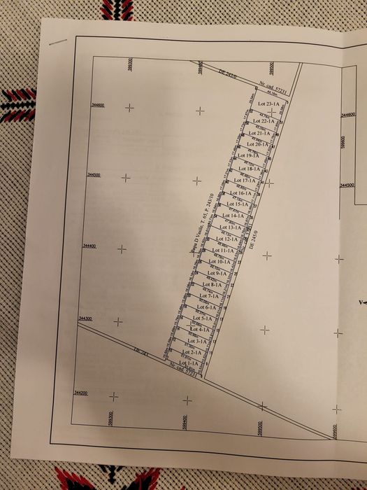 Teren de vanzare in Dascalu